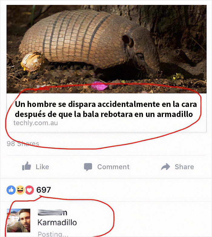 Memes científicos divertidos con un armadillo y reacción graciosa en redes sociales sobre un accidente.