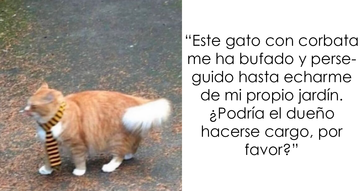 20 Imágenes divertidas de Reino Unido fuera de contexto que definen muy bien el humor británico