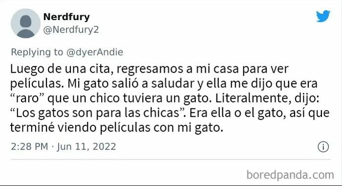 Captura de pantalla de un tuit sobre una cita fallida donde un gato causó incomodidad durante una noche de películas.