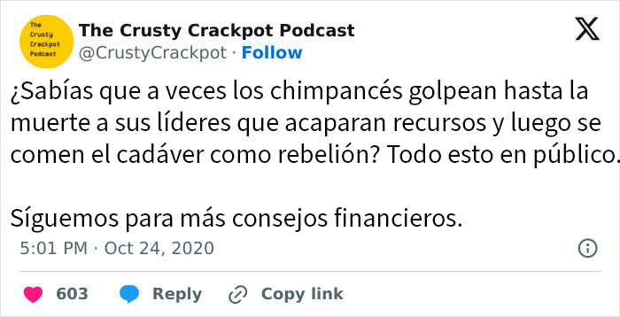 20 Personas comparten memes impactantes con humor y crudas verdades