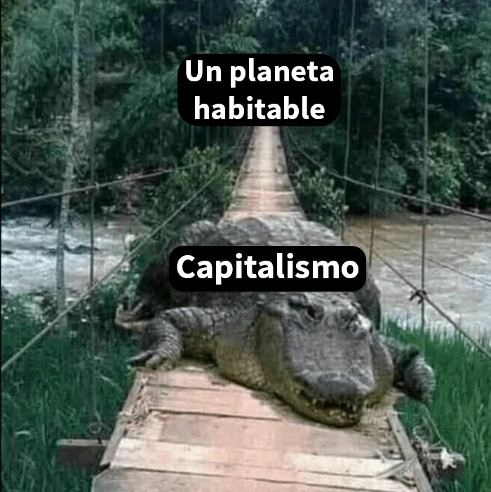 20 Personas comparten memes impactantes con humor y crudas verdades