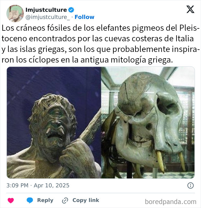 Cráneos fósiles de elefantes pigmeos y estatuas mitológicas para los más curiosos e interesados en historias fascinantes.