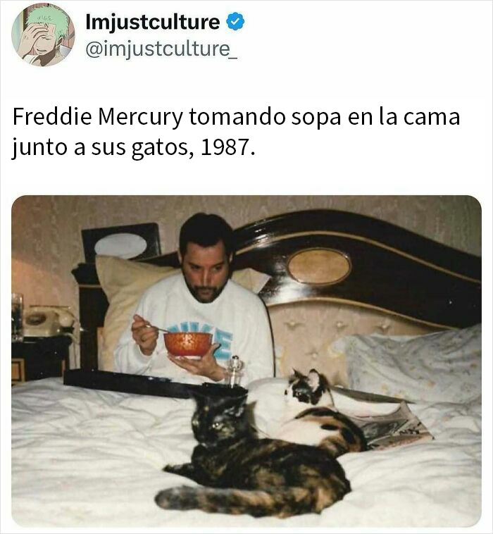 Freddie Mercury en la cama con sus gatos, imagen curiosa para publicaciones e historias fascinantes sobre curiosidades.