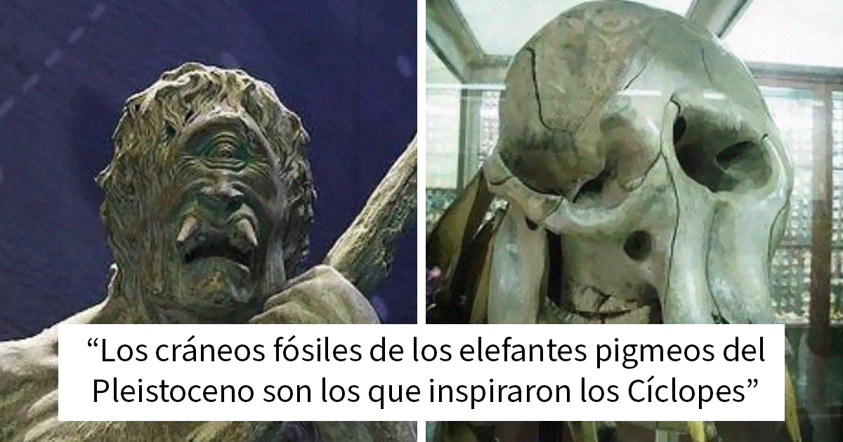 20 Publicaciones e historias fascinantes para los más curiosos