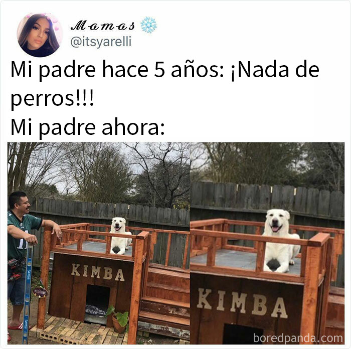 Hombre sonriente junto a caseta para perros con nombre Kimba en jardín, meme divertido sobre perros y cambios familiares.