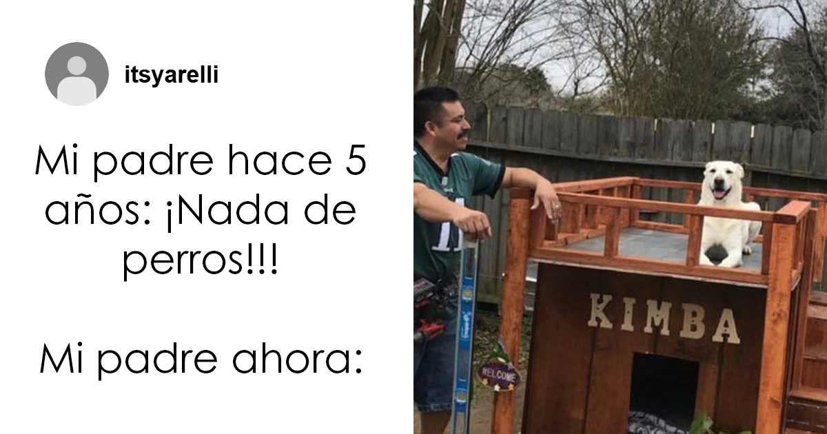 20 Memes de perros tan divertidos como reconfortantes para derretir tu corazón