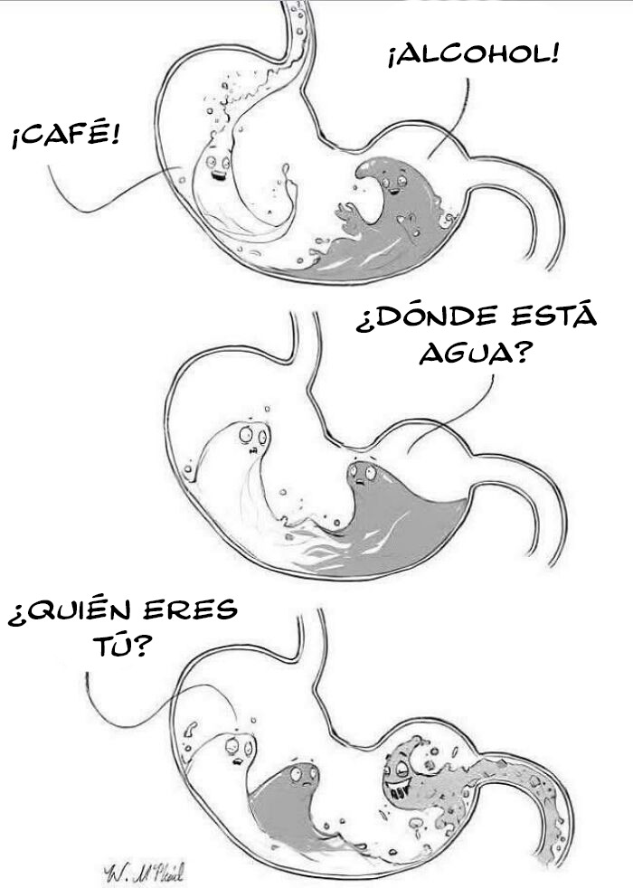 Dibujo humorístico sobre el estómago con memes y bromas que necesitan ser explicados en tono divertido.