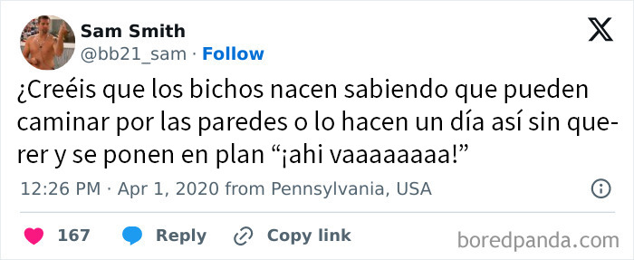 Tuit con frase original e ingeniosa que invita a reflexionar sobre el comportamiento inesperado de los bichos.
