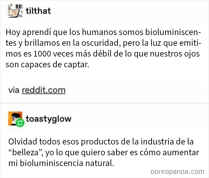Frases sobre bioluminiscencia humana y reflexiones curiosas poco comunes y originales en redes sociales.
