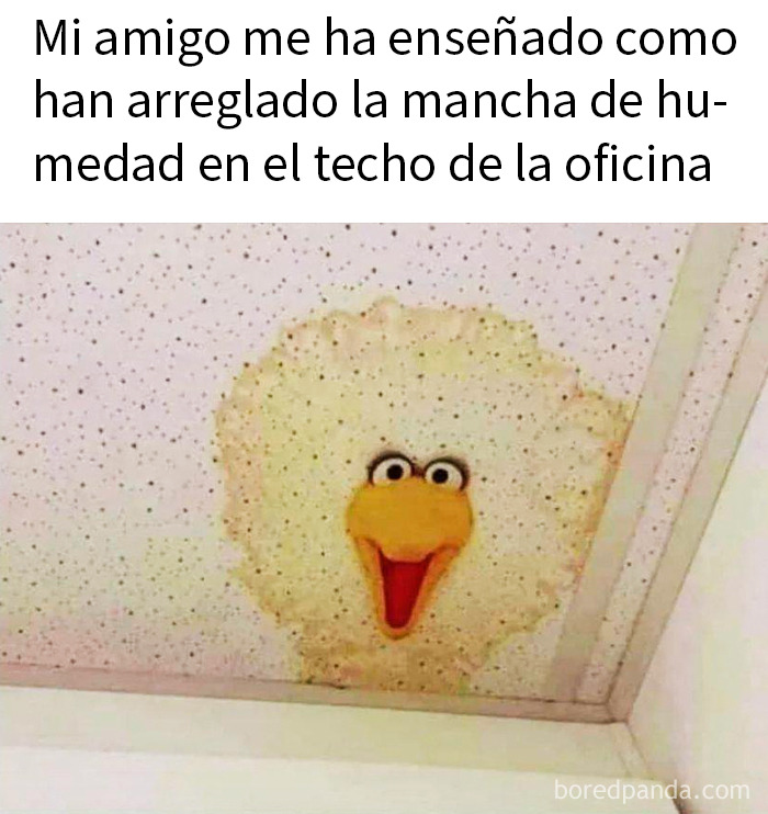 Mancha de humedad en el techo con forma divertida, parte de memes divertidos para tu dosis diaria de risas.