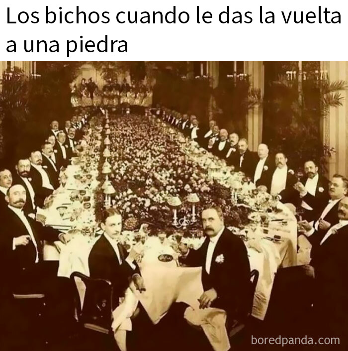 Hombres vestidos elegantemente en gran banquete, meme aleatorio para traerte risas y diversión visual.