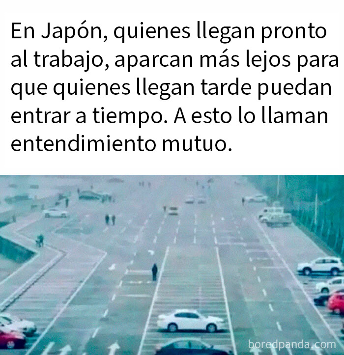 Aparcamiento en J*pón mostrando memes aleatorios con risas, caos y diversión sobre entendimiento mutuo en el trabajo.