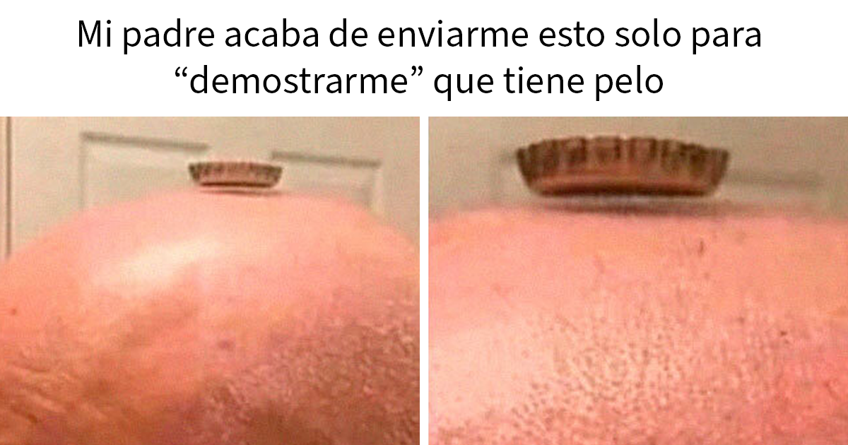 20 Memes aleatorios para traerte risas, caos y diversión