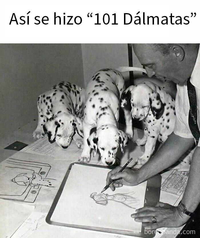 Hombre dibujando bocetos de 101 Dálmatas junto a perros, recordando publicaciones del pasado para mayores.