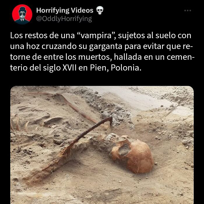 Restos de “vampira” con hoz en garganta en cementerio del siglo XVII en Polonia, historia extrañamente terrorífica.