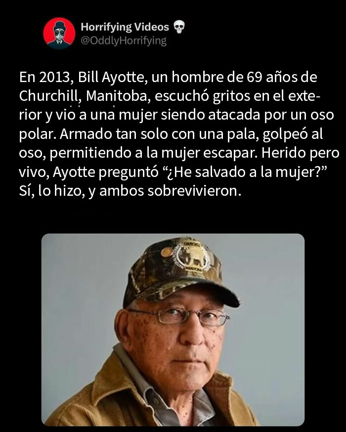 Hombre mayor en gorra y gafas, historia extrañamente terrorífica de supervivencia enfrentando un oso polar con una pala.