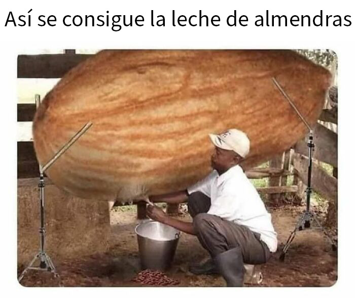 Hombre simulando ordeñar una almendra gigante en una imagen con humor al límite entre divertido y ofensivo.