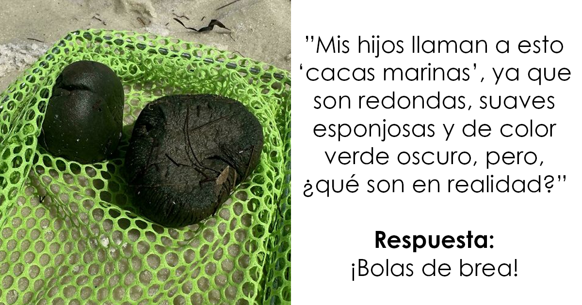 25 Personas que no tenían ni idea de lo que estaban viendo y pidieron ayuda a Internet (nuevas fotos)