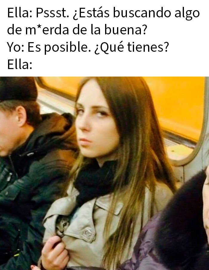 Mujer con expresión sarcástica en transporte público, mostrando un gato escondido bajo su abrigo, meme divertido y sarcástico.