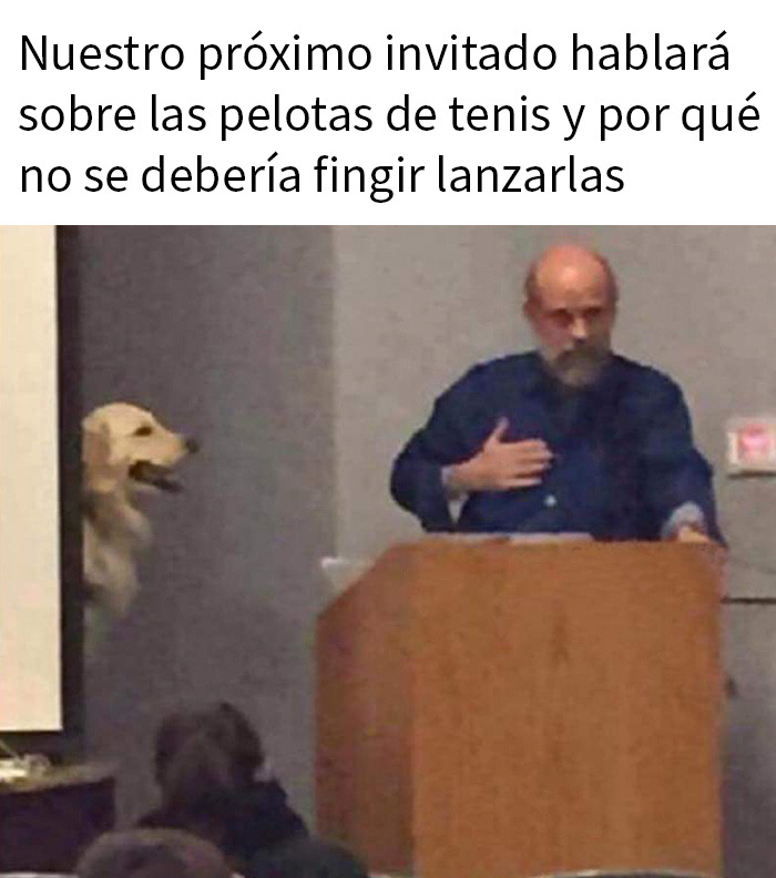Hombre dando discurso junto a un perro en aula, meme divertido y sarcástico sobre pelotas de tenis y lanzarlas.