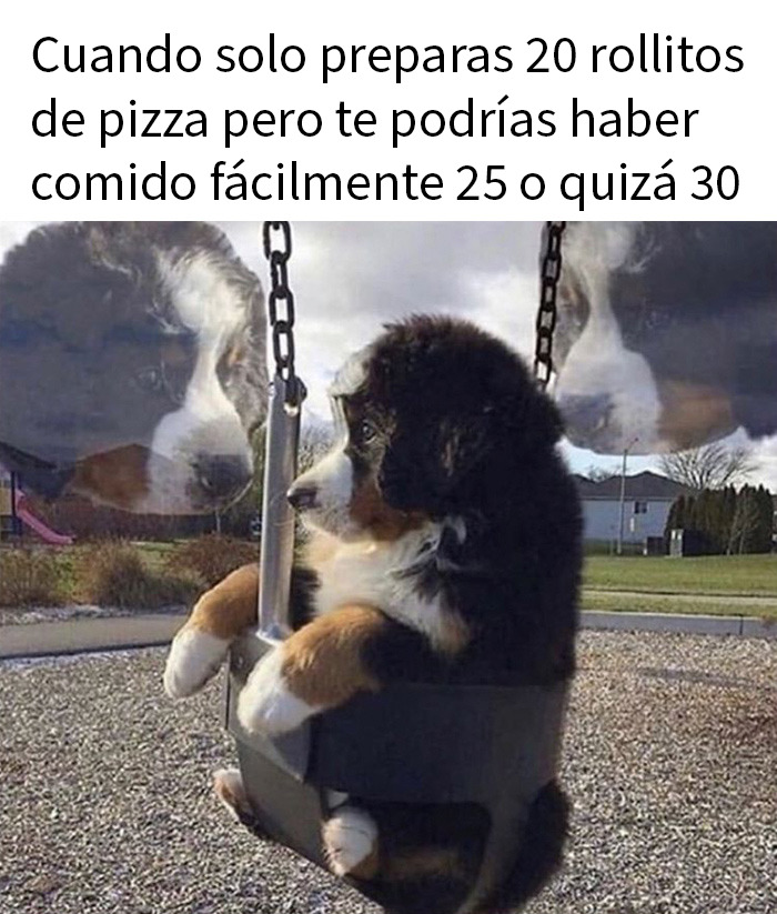 Perro en columpio pensando con texto divertido, meme sarcástico típico de página especializada en memes humorísticos.