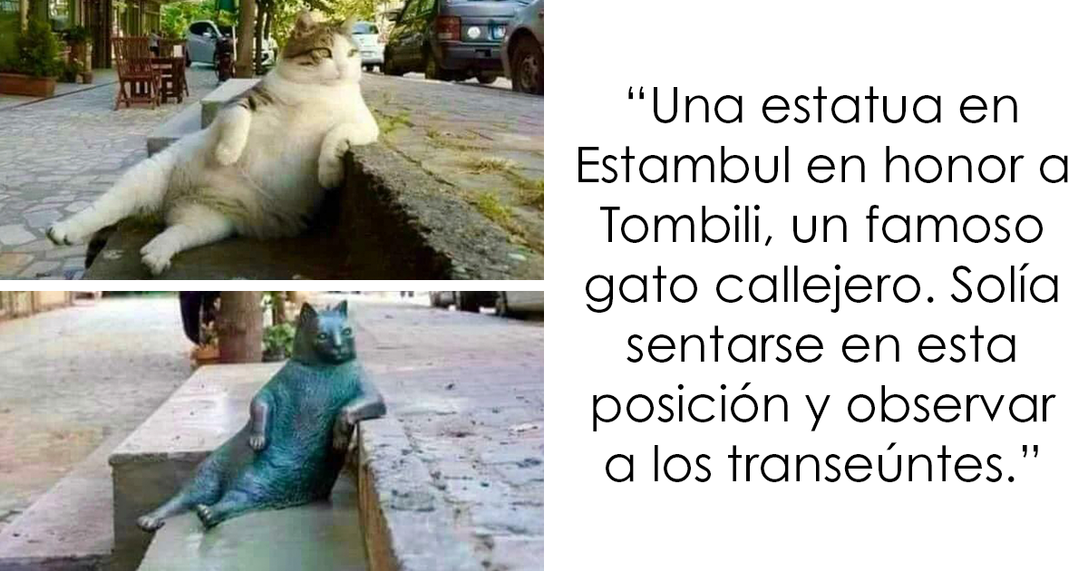 26 Datos fascinantes que nunca dejan de sorprendernos