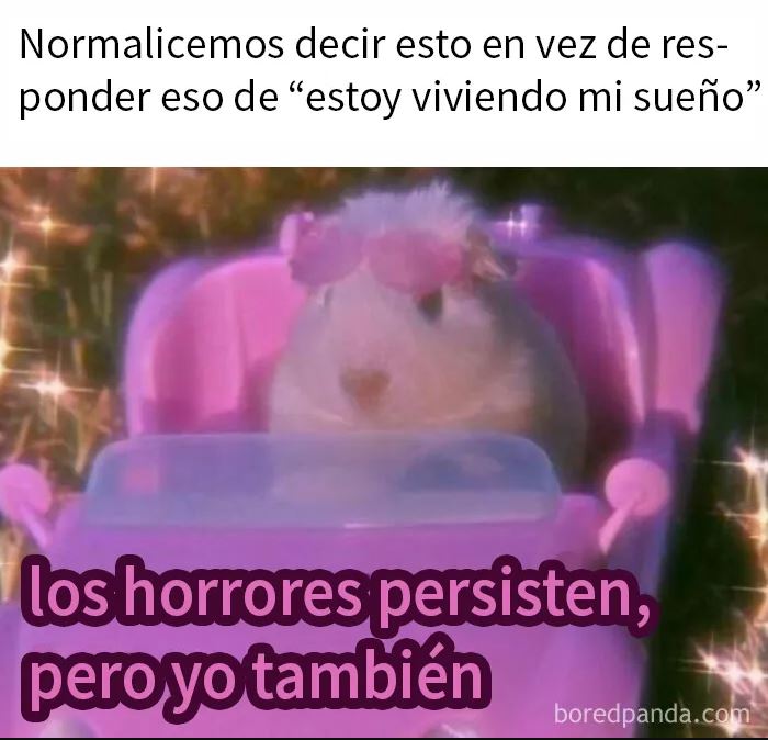 Hamster en coche de juguete rosa con texto sobre memes divertidos familiares para discutir en terapia.