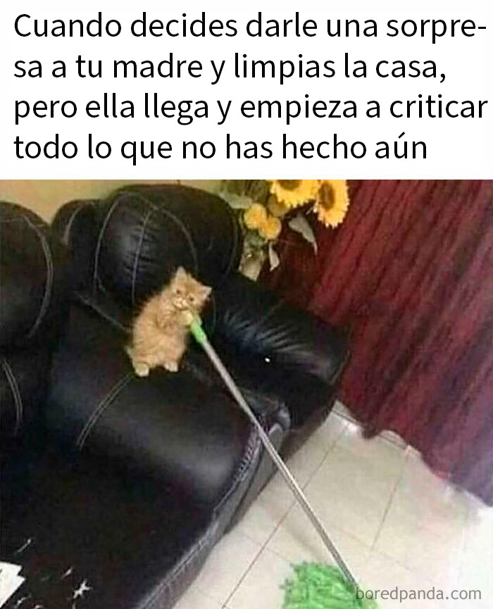 Gato en sofá con trapeador, meme divertido que resulta familiar para discutir en terapia y reflexionar.