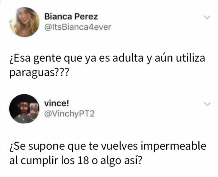 Captura de pantalla de publicaciones tan estúpidas como risibles que causan vergüenza ajena en redes sociales.