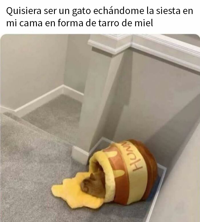 20 Memes reconfortantes para devolverte la fe en la humanidad