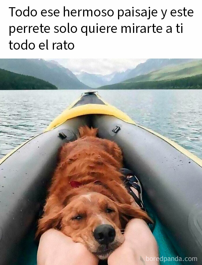 20 Memes reconfortantes para devolverte la fe en la humanidad