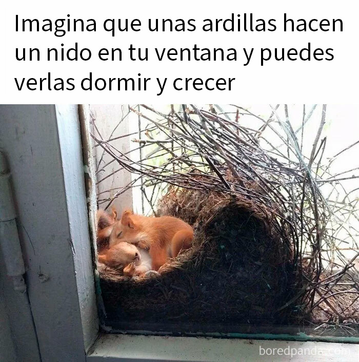 20 Memes reconfortantes para devolverte la fe en la humanidad