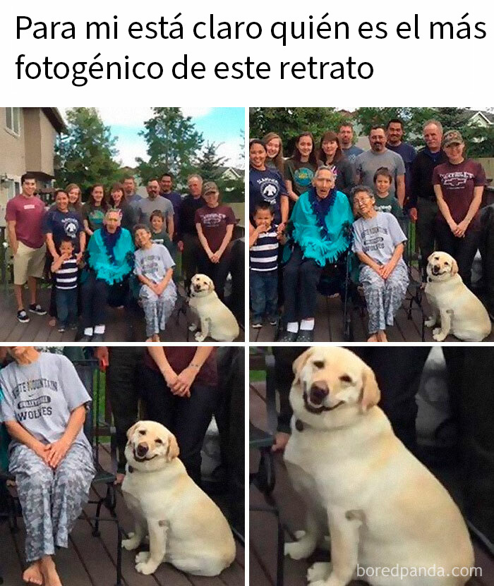20 Memes reconfortantes para devolverte la fe en la humanidad