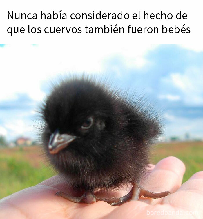 20 Memes reconfortantes para devolverte la fe en la humanidad