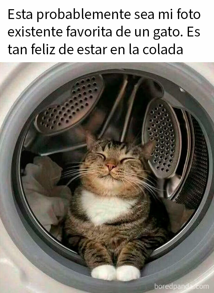 20 Memes reconfortantes para devolverte la fe en la humanidad