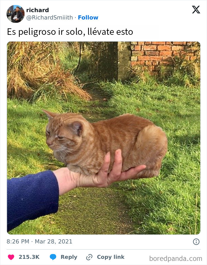 20 Memes reconfortantes para devolverte la fe en la humanidad