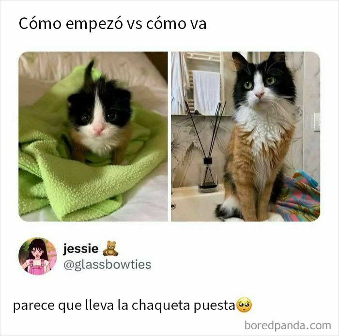 20 Memes reconfortantes para devolverte la fe en la humanidad