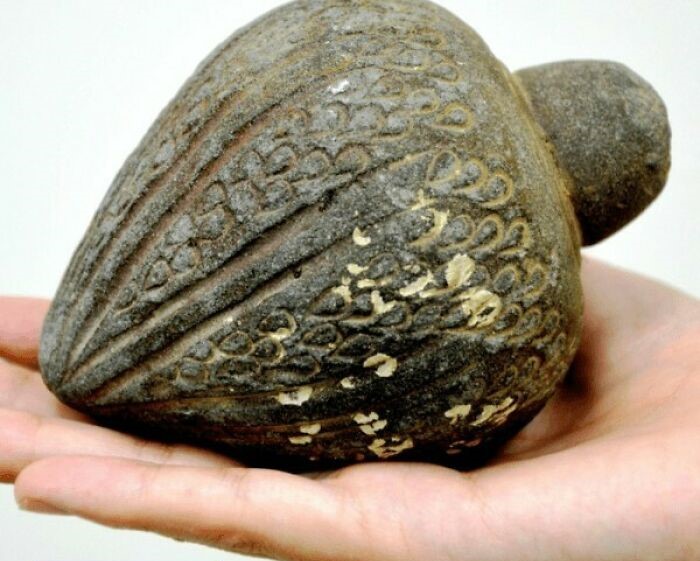 Piedra antigua con grabados, mostrando datos históricos interesantes que quizá no te enseñaron en clase.