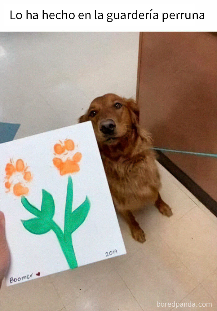 20 Encantadores memes de animales para alegrarte un poco el día