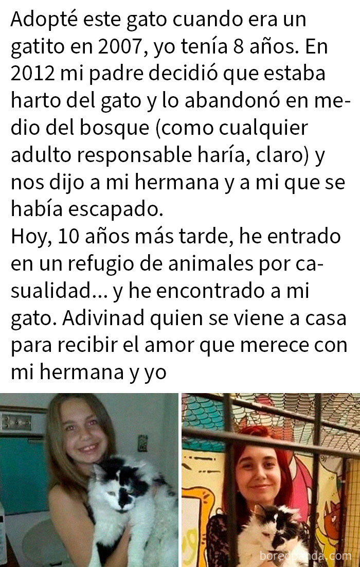 20 Encantadores memes de animales para alegrarte un poco el día