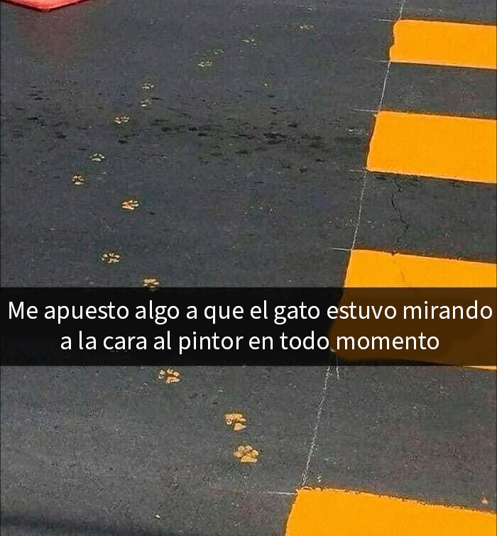 Huellas de gato en pintura amarilla sobre asfalto, ejemplo divertido mostrando que los gatos tienen mala leche.