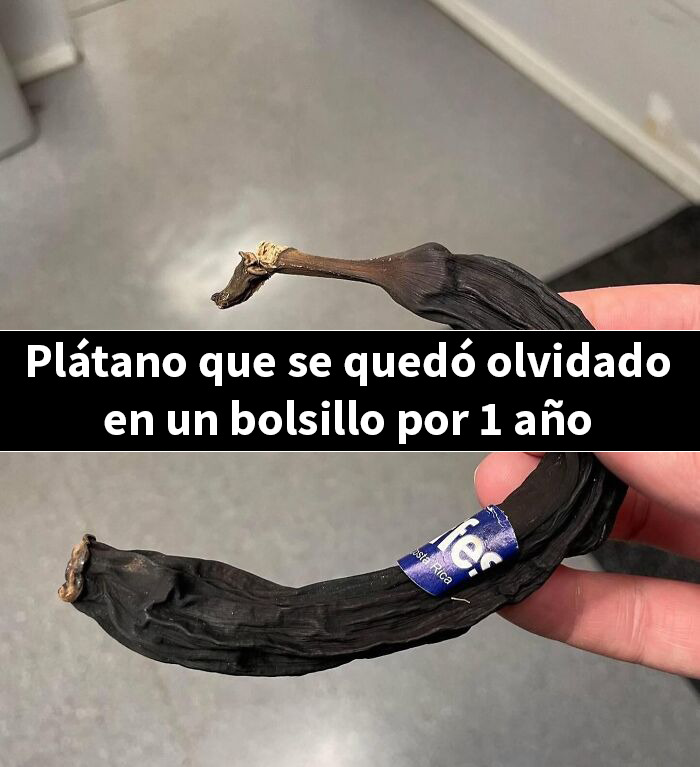 Plátano negro y arrugado sostenido a mano, ejemplo de publicaciones bastante interesantes sobre frutas olvidadas.