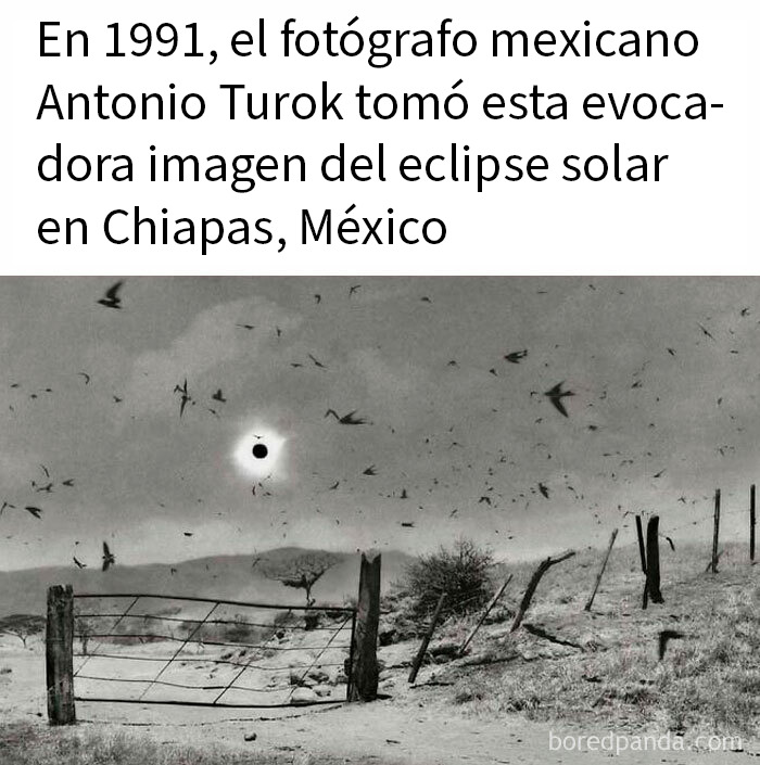 Eclipse solar en Chiapas capturado en 1991, imagen histórica incluida en publicaciones bastante interesantes.