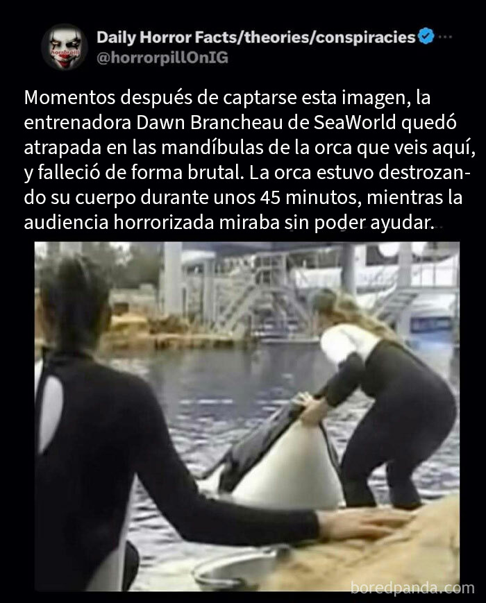 20 Datos, historias e imágenes terroríficas que no deberías leer antes de dormir