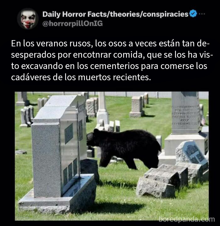 20 Datos, historias e imágenes terroríficas que no deberías leer antes de dormir