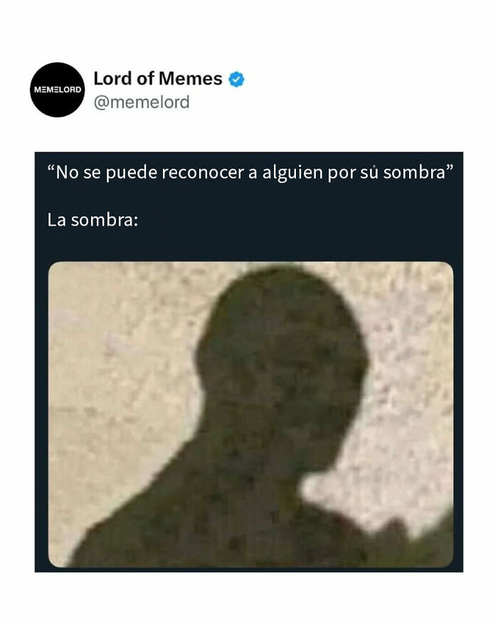 Sombra que parece rostro humano en meme divertido, ejemplo de memes sobre todo y nada para reír en redes sociales.