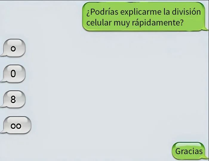 Memes divertidos sobre todo y nada con conversación cómica explicando la división celular de forma rápida y sencilla.