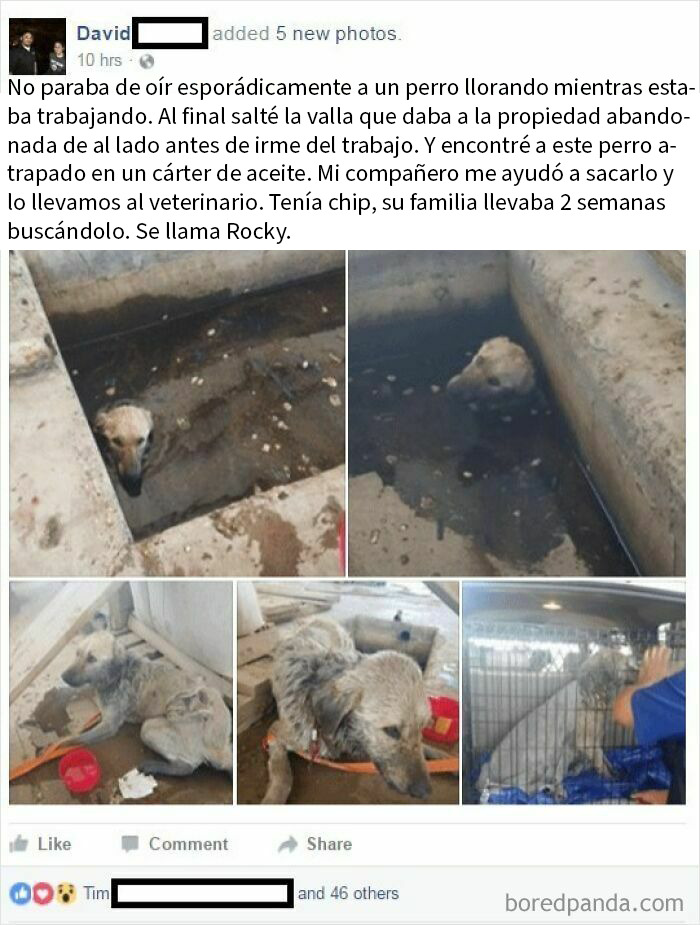 Rocky ya está en su hogar