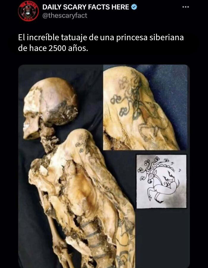 Tatuajes antiguos en restos momificados de princesa siberiana, datos terroríficos que no deberías leer a oscuras