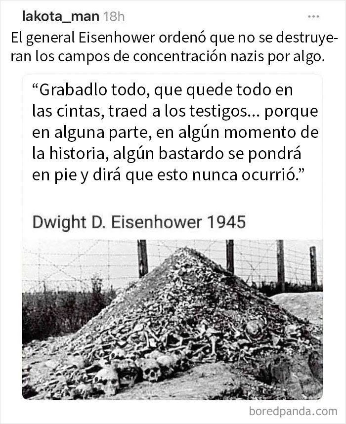 Montón de huesos humanos en campo n**i reservado por orden de Eisenhower, demostrando envejecer como el vino con la verdad histórica.